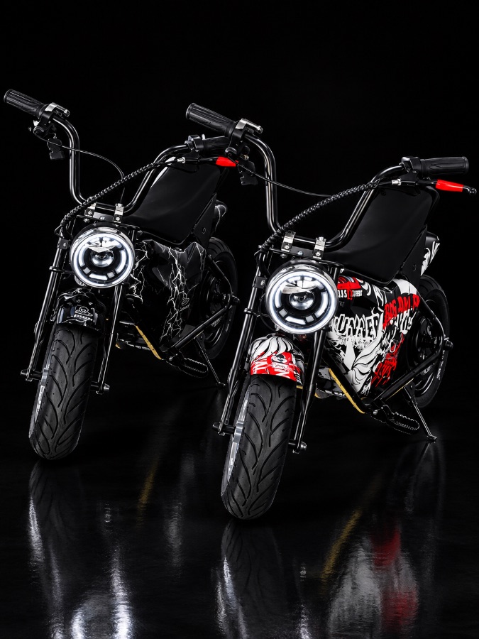 Mini Moto Eletrica